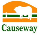 Causeway logo